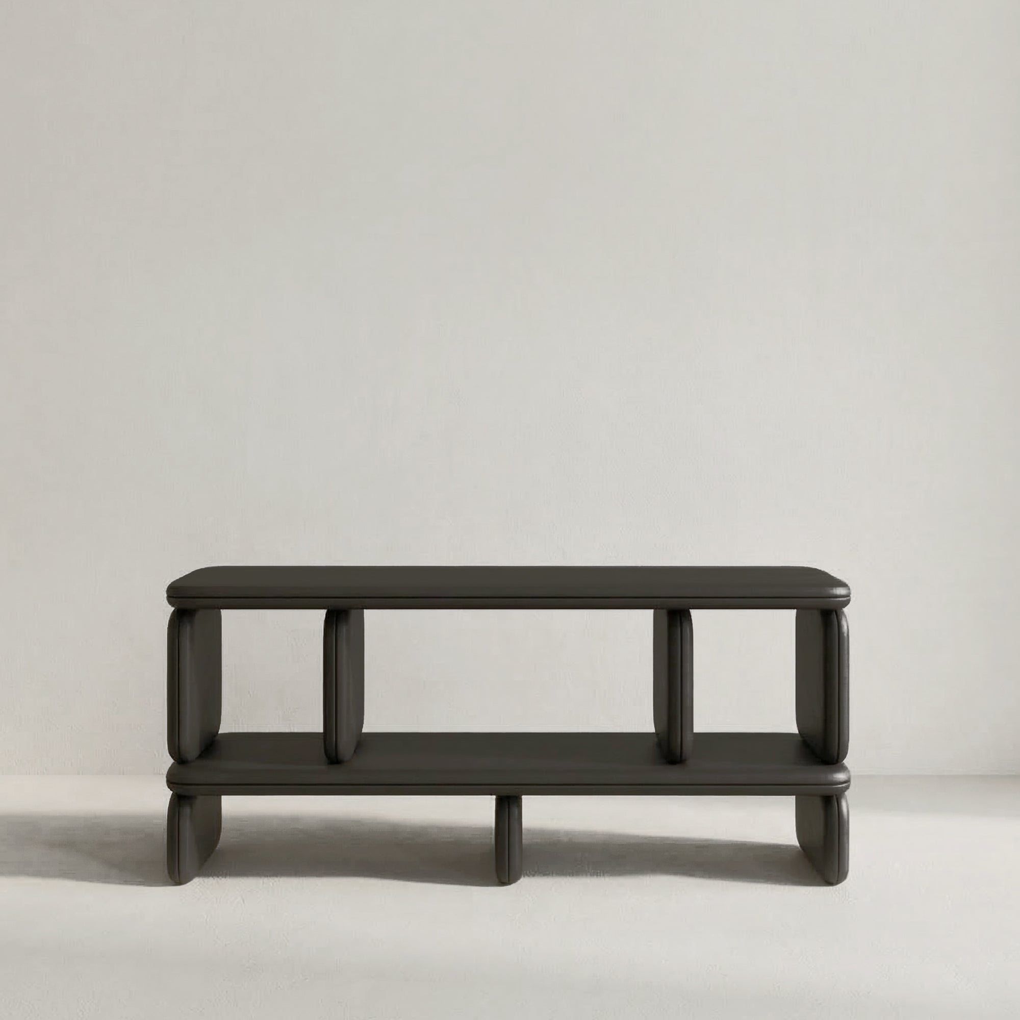 RON 0245 SHELF UNIT
