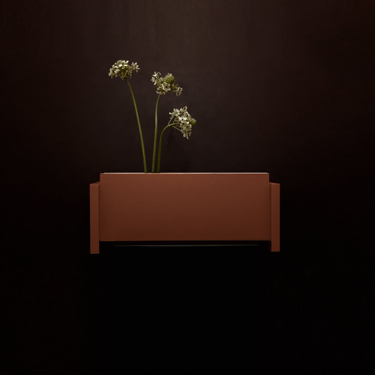 A_FORMA05
